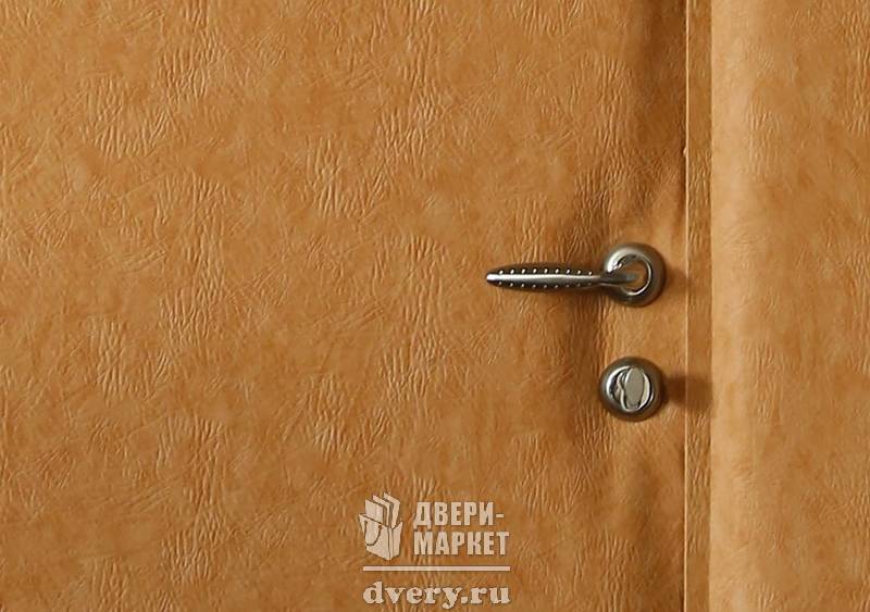 Metallicheskaya Tamburnaya Dver 25