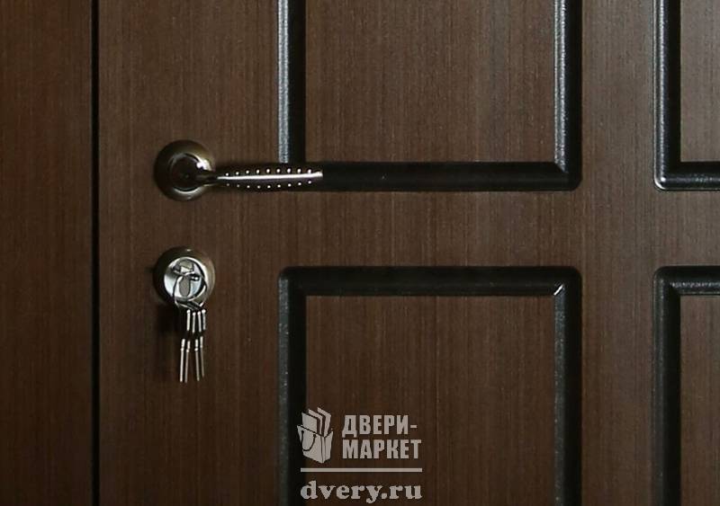 Metallicheskaya Tamburnaya Dver 25