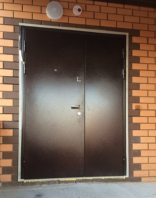 Двустворчатые утепленные двери для частного дома в Дмитрове