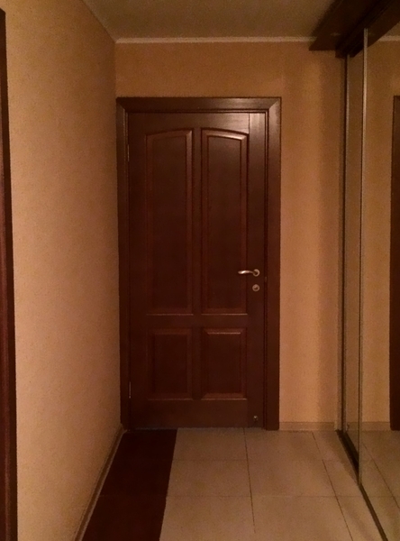Однопольная глухая дверь (вид из помещения)