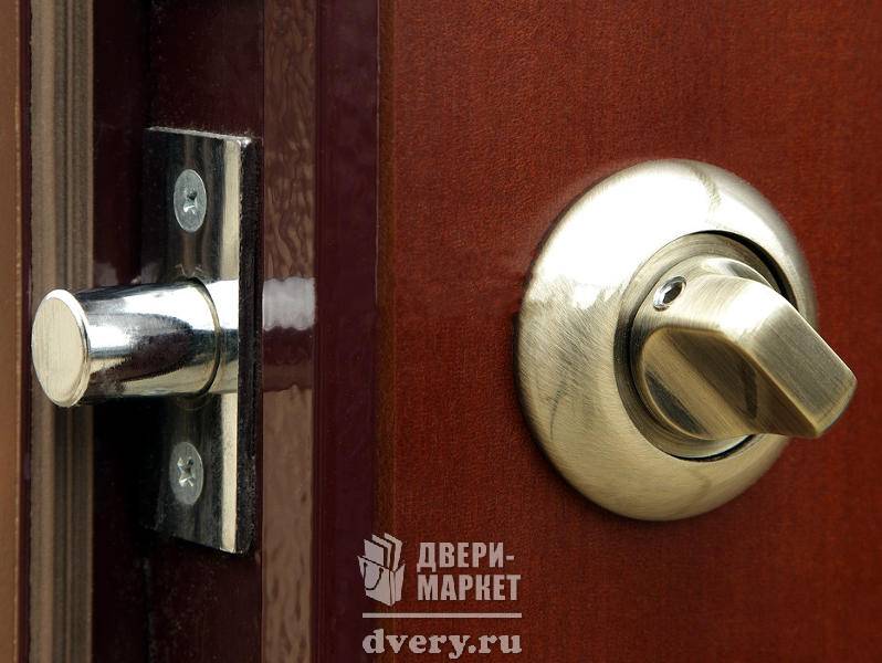 Что такое дверная задвижка